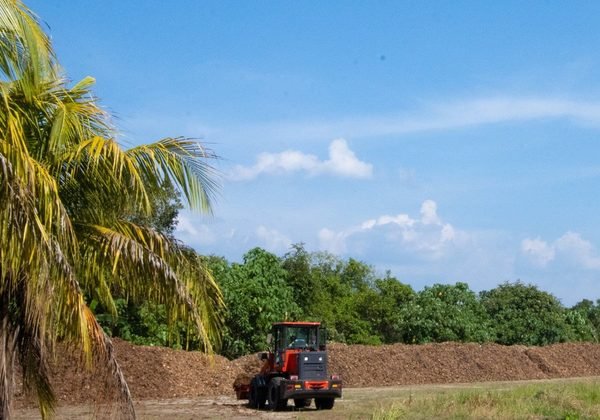 Coconut shell biomass at processing yard