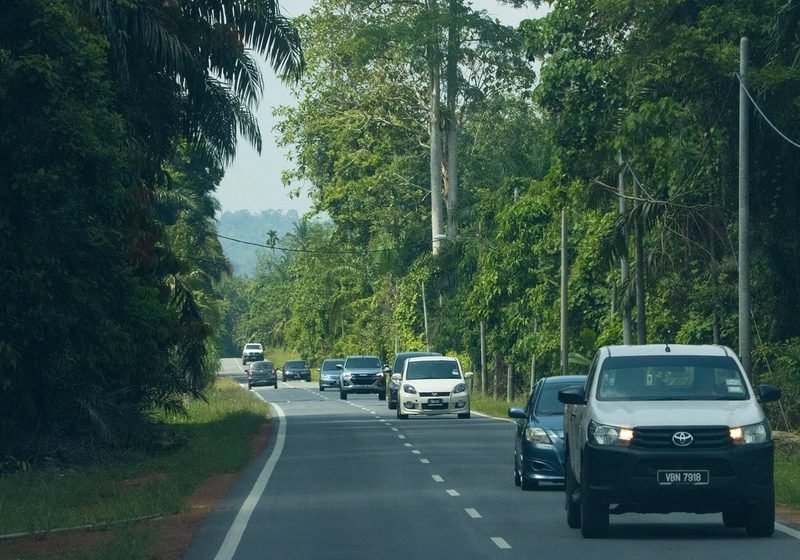 Palm oil plantation region road